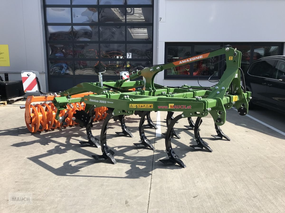 Grubber του τύπου Amazone Cenius 3003, Neumaschine σε Burgkirchen (Φωτογραφία 1)