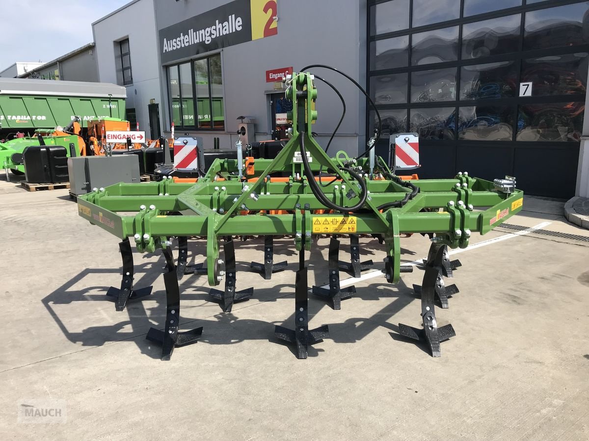 Grubber του τύπου Amazone Cenius 3003, Neumaschine σε Burgkirchen (Φωτογραφία 3)