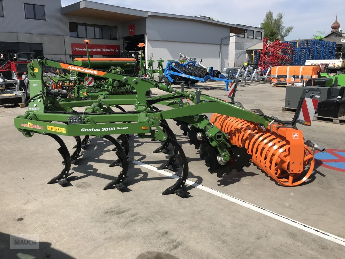 Grubber του τύπου Amazone Cenius 3003, Neumaschine σε Burgkirchen (Φωτογραφία 4)