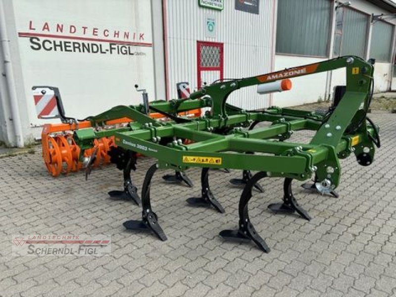 Grubber типа Amazone Cenius 3003, Gebrauchtmaschine в St.Margarethen (Фотография 5)