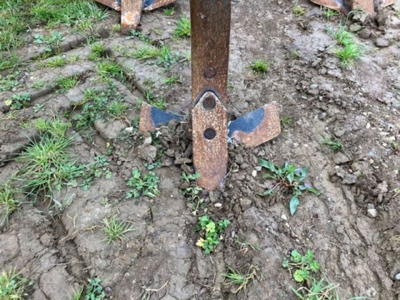 Grubber del tipo Amazone Cenius 3503 super, Gebrauchtmaschine In POUSSAY (Immagine 8)