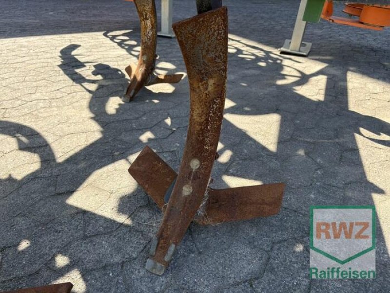 Grubber a típus Amazone Cenius 4002, Gebrauchtmaschine ekkor: Kruft (Kép 4)