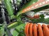 Grubber от тип Amazone Cenius 4003-2, Neumaschine в Markt Hartmannsdorf (Снимка 10)