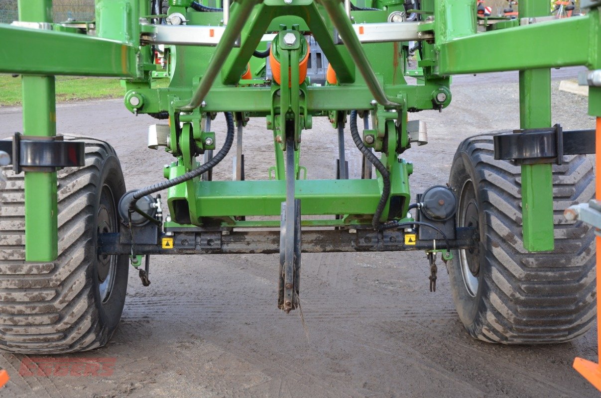 Grubber typu Amazone Cenius 4003-2TX, Gebrauchtmaschine v Suhlendorf (Obrázek 16)