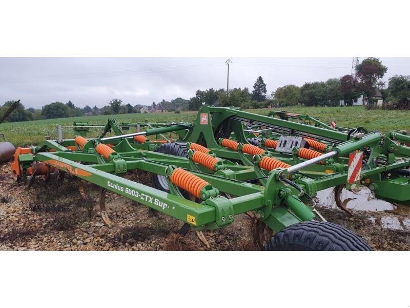 Grubber del tipo Amazone CENIUS 6003-2TX, Gebrauchtmaschine In BRAY en Val (Immagine 3)