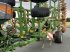 Grubber of the type Amazone GEBR. GRUBBER CENIUS 7003-2TX, Gebrauchtmaschine in Grimma (Picture 3)