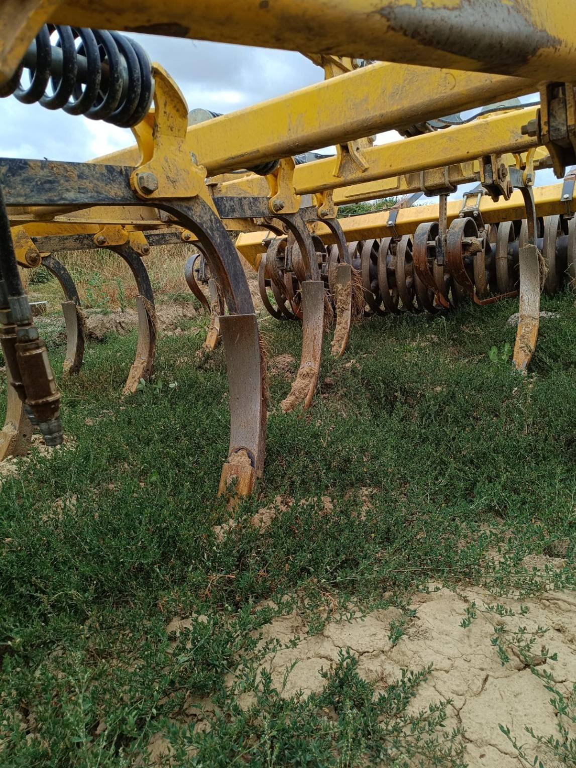 Grubber del tipo Bednar Fn3500, Gebrauchtmaschine en Le Horps (Imagen 11)