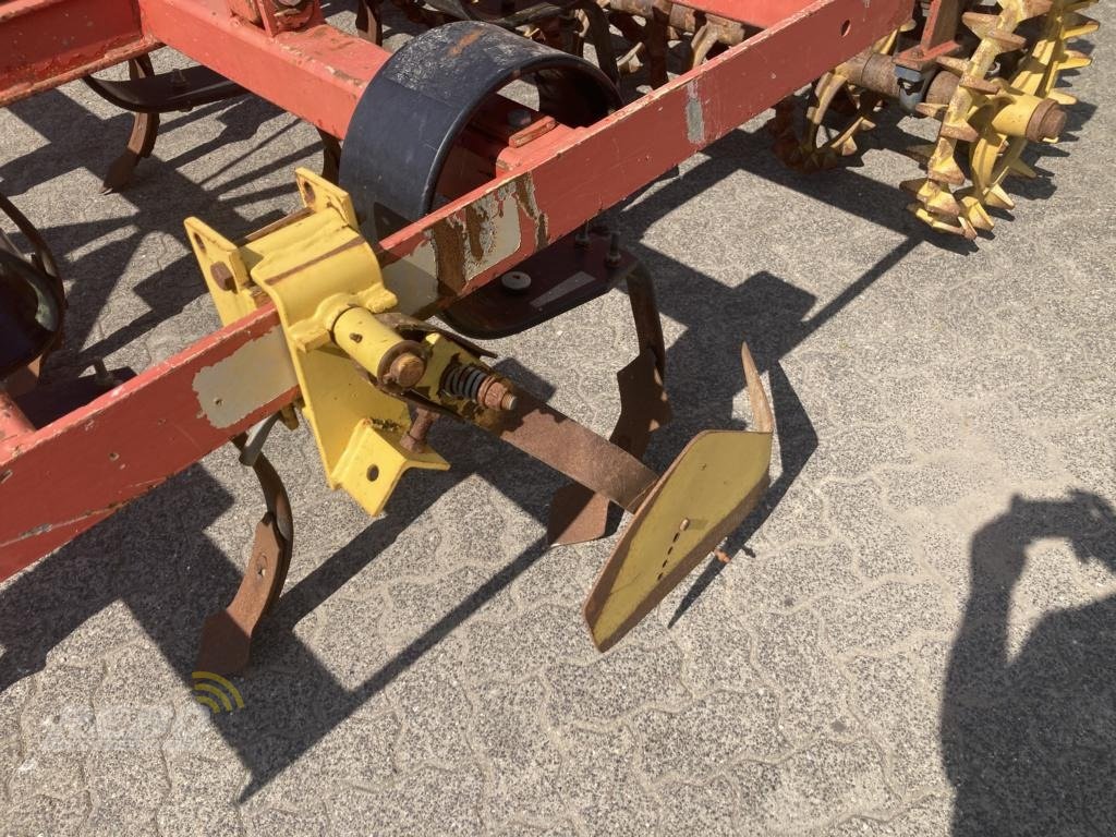 Grubber des Typs Brix Grubber, Gebrauchtmaschine in Albersdorf (Bild 8)