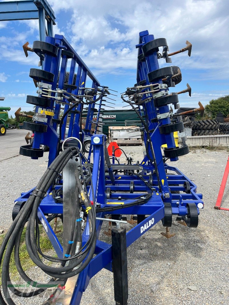 Grubber типа Dalbo CultiTrail 500, Gebrauchtmaschine в Giebelstadt-Euerhausen (Фотография 3)