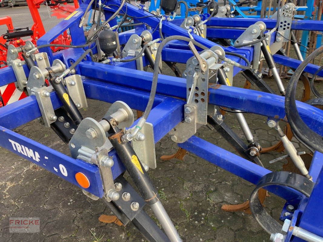 Grubber a típus Dalbo Trimax Plus 300 NSH, Gebrauchtmaschine ekkor: Bockel - Gyhum (Kép 9)