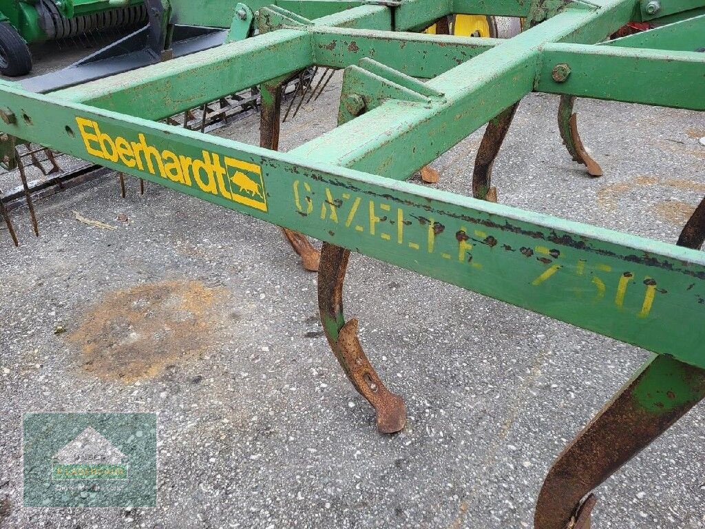 Grubber del tipo Eberhardt Gazelle 750, Gebrauchtmaschine In Perg (Immagine 3)