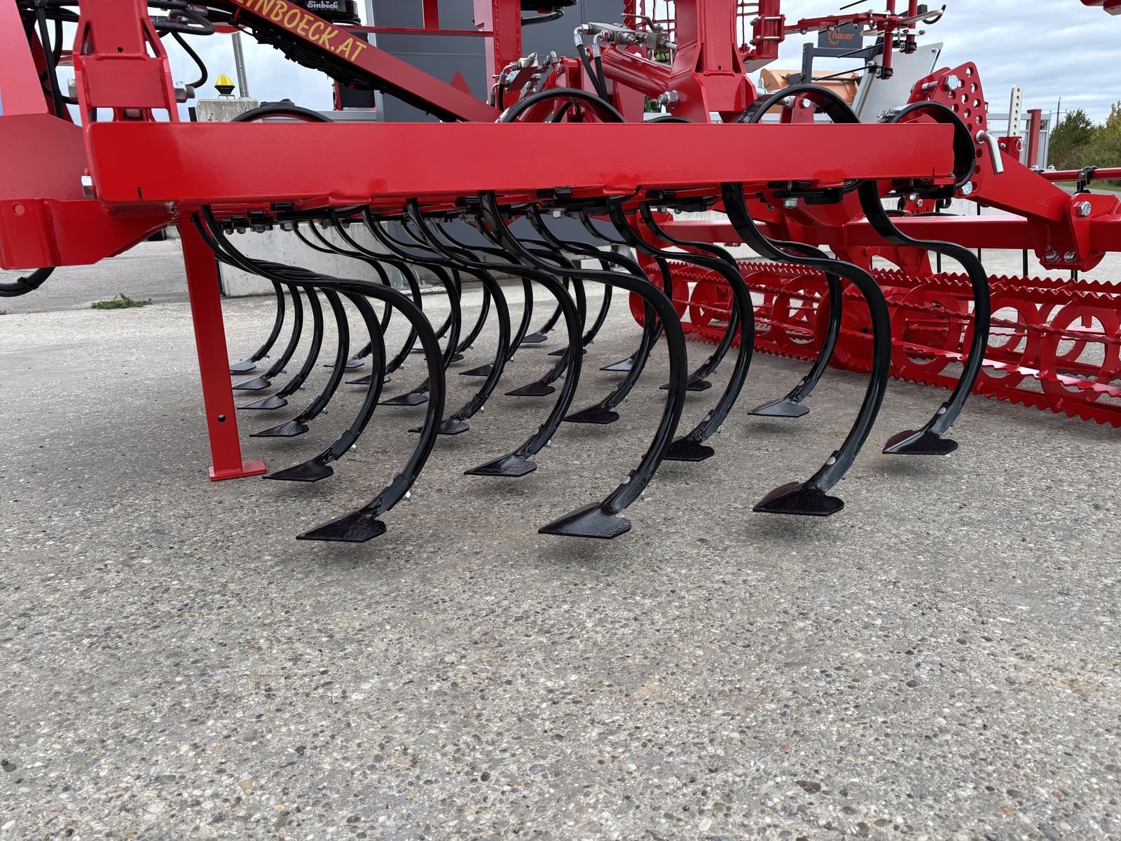 Grubber a típus Einböck Feingrubber Vibrostar 4-610 2ZW, Neumaschine ekkor: Starrein (Kép 10)