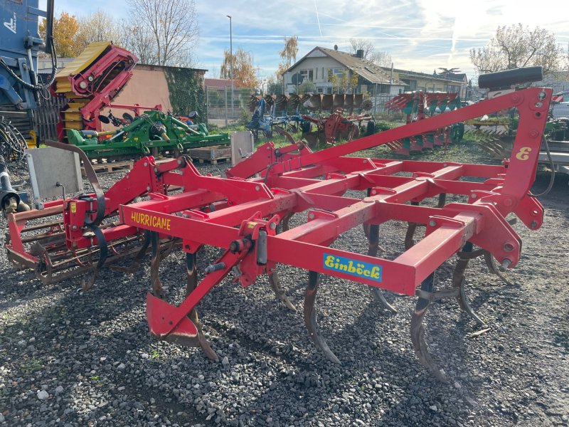 Grubber des Typs Einböck Hurricane 300RF, Gebrauchtmaschine in Dannstadt-Schauernheim (Bild 1)