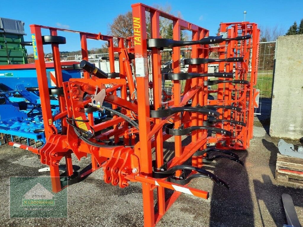 Grubber του τύπου Einböck Taifun 400 2 FZ, Neumaschine σε Perg (Φωτογραφία 2)