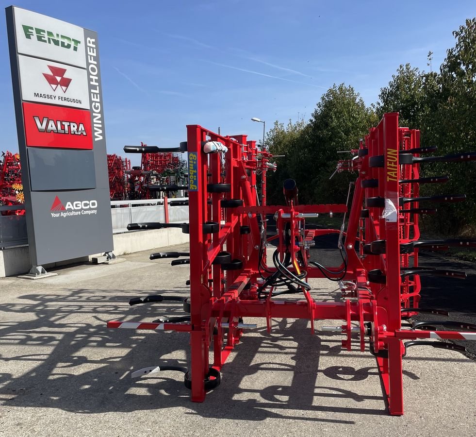 Grubber typu Einböck Taifun 400FZ, Neumaschine v Starrein (Obrázek 1)