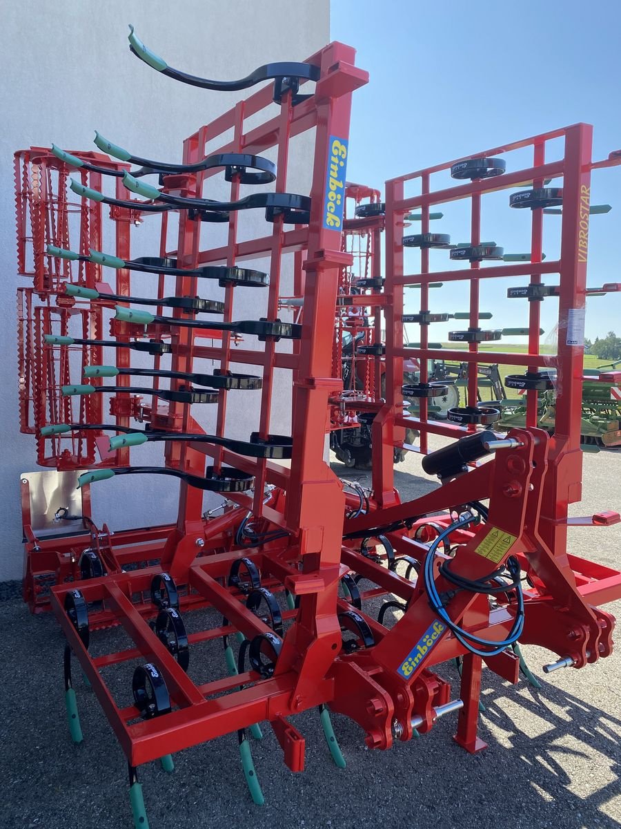 Grubber des Typs Einböck VIBROSTAR 4-550 2ZW Feingrubber, Neumaschine in St. Marienkirchen (Bild 1)