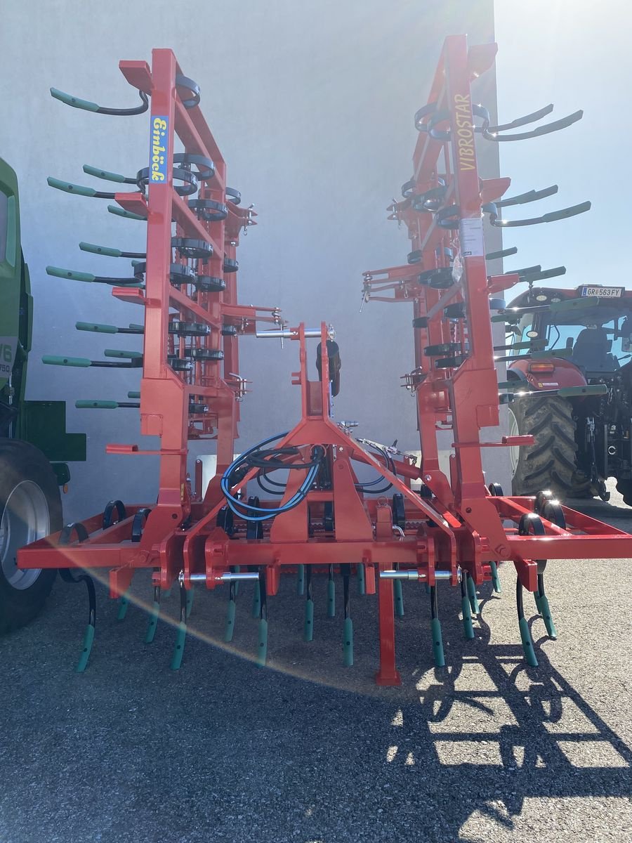 Grubber des Typs Einböck VIBROSTAR 4-550 2ZW Feingrubber, Neumaschine in St. Marienkirchen (Bild 2)