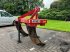 Grubber van het type Evers -, Gebrauchtmaschine in Vriezenveen (Foto 4)