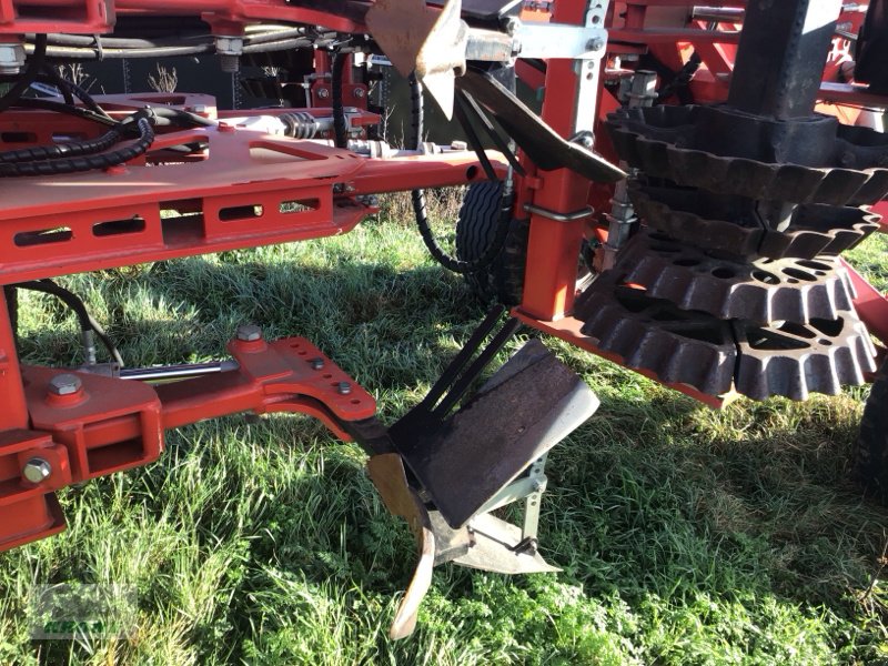 Grubber of the type Evers Dammprofi 450, Gebrauchtmaschine in Zorbau (Picture 8)