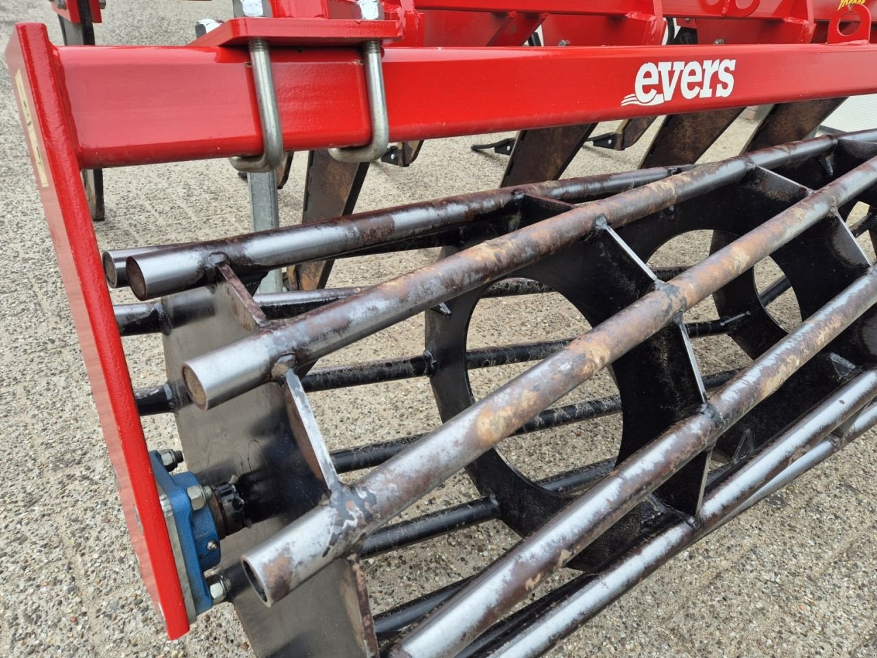 Grubber a típus Evers Forest LE-9G R62V, Gebrauchtmaschine ekkor: Halle (Kép 6)