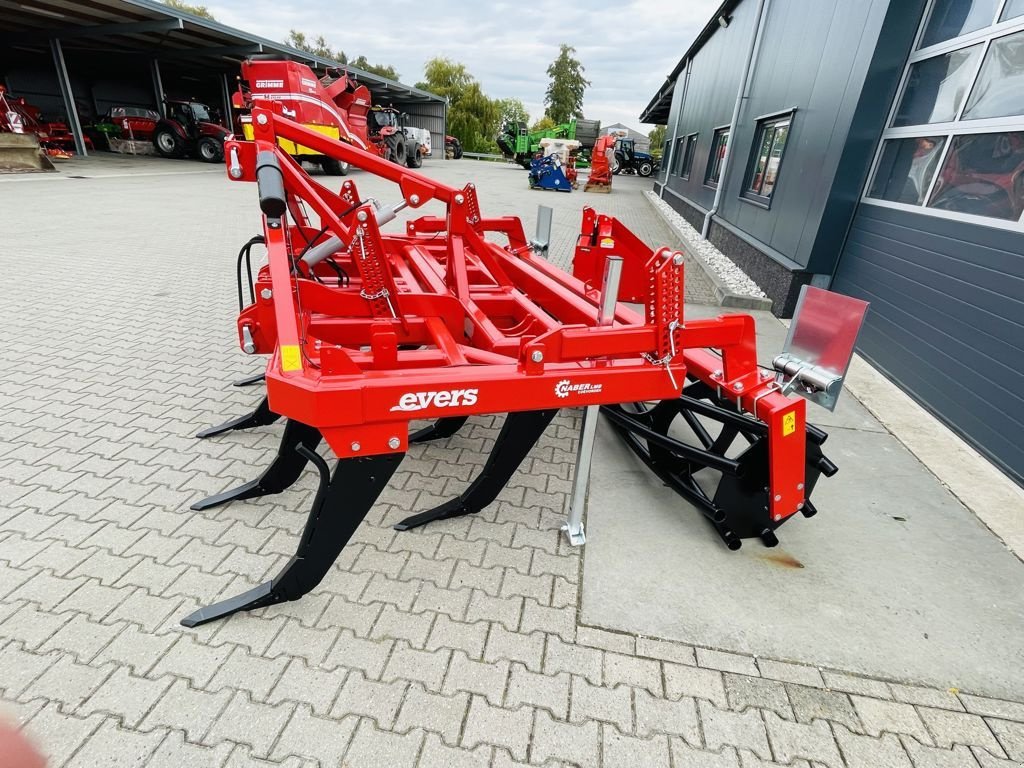 Grubber typu Evers Forest XL 9-310 R62, Neumaschine v Coevorden (Obrázek 6)