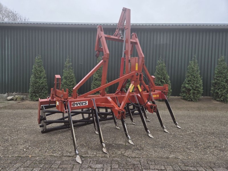 Grubber типа Evers Mustang LD 11B, Gebrauchtmaschine в azewijn (Фотография 1)