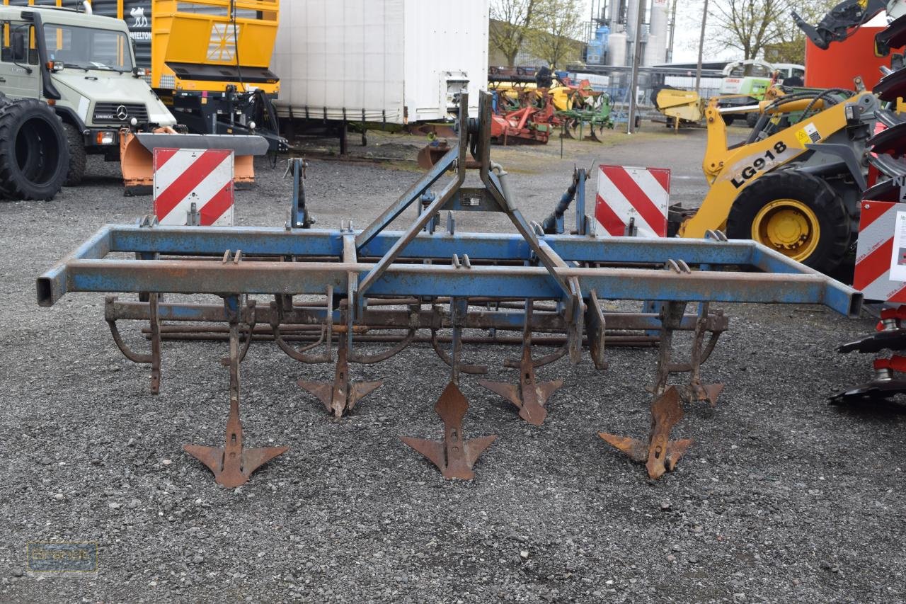 Grubber typu Frost 300, Gebrauchtmaschine w Oyten (Zdjęcie 2)