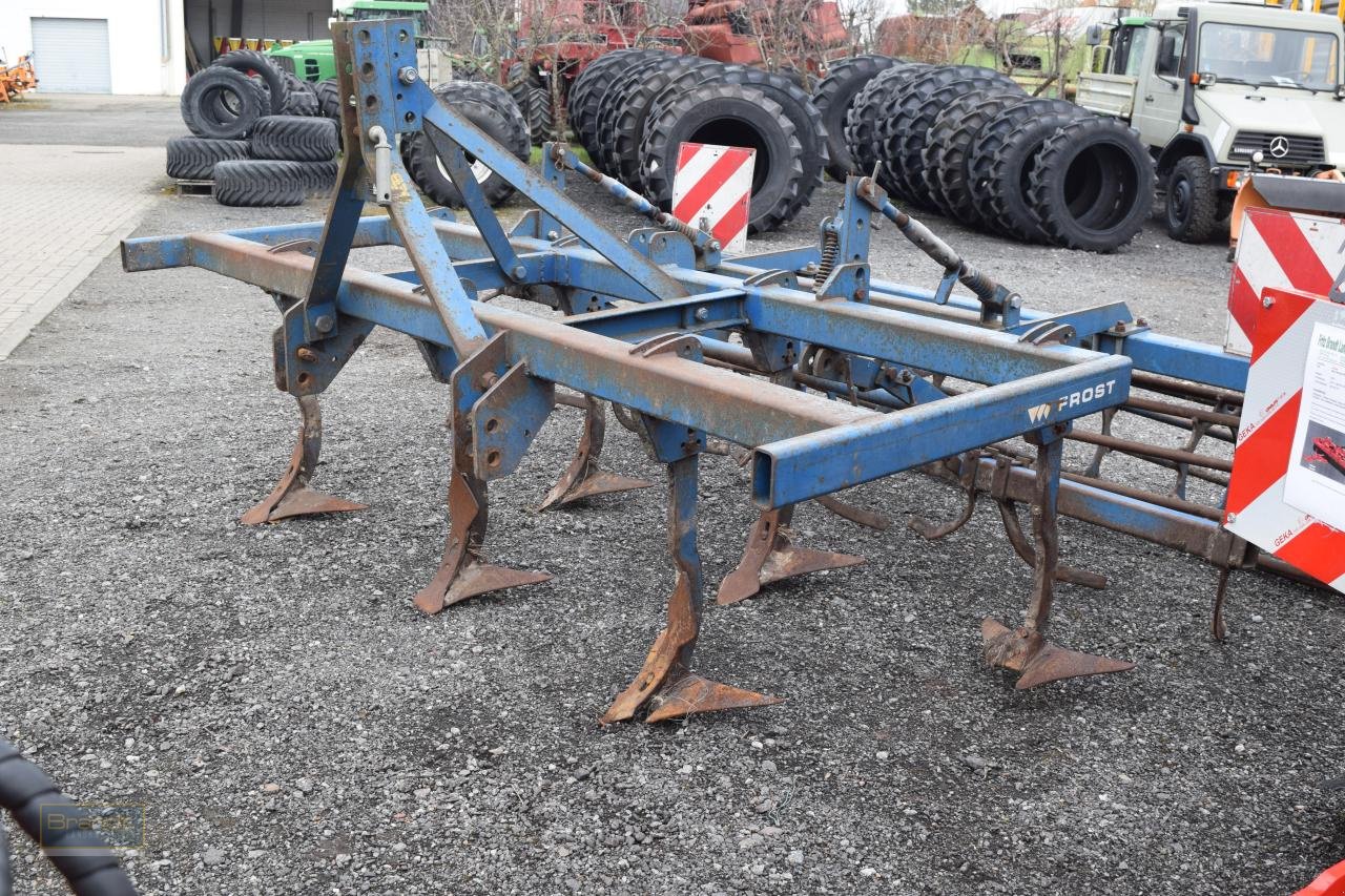 Grubber typu Frost 300, Gebrauchtmaschine w Oyten (Zdjęcie 3)