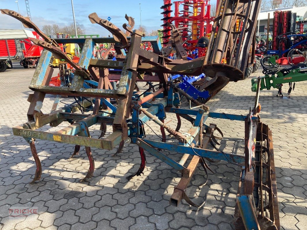 Grubber des Typs Frost Tiefengrubber, Gebrauchtmaschine in Bockel - Gyhum (Bild 4)