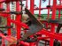 Grubber del tipo Güttler SuperMaxx 60-7 Bio, Gebrauchtmaschine en Risum-Lindholm (Imagen 11)