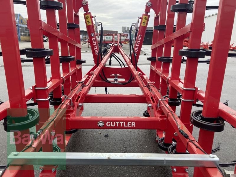 Grubber du type Güttler SUPERMAXX 60-7, Gebrauchtmaschine en Schwarzenfeld (Photo 11)
