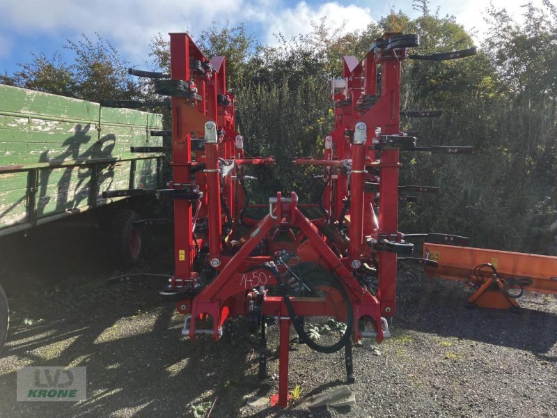 Grubber typu Horsch Cruiser 5 SL, Gebrauchtmaschine v Spelle (Obrázek 2)