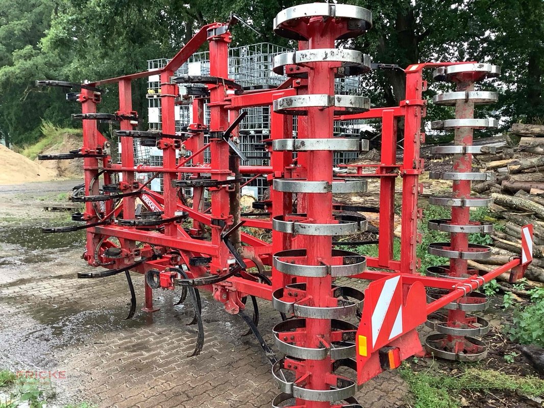 Grubber des Typs Horsch Cruiser 5 SL, Gebrauchtmaschine in Bockel - Gyhum (Bild 5)