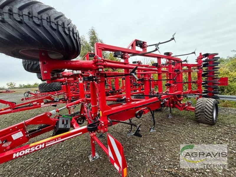 Grubber of the type Horsch CRUISER 5 XL, Vorführmaschine in Landsberg/ OT Sietzsch (Picture 2)