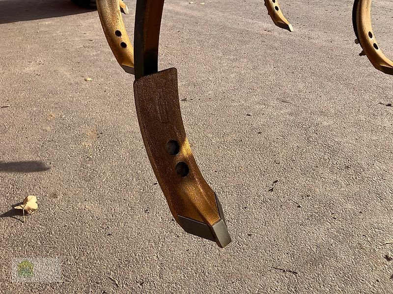 Grubber des Typs Horsch Cruiser 6 XL, Gebrauchtmaschine in Salsitz (Bild 24)