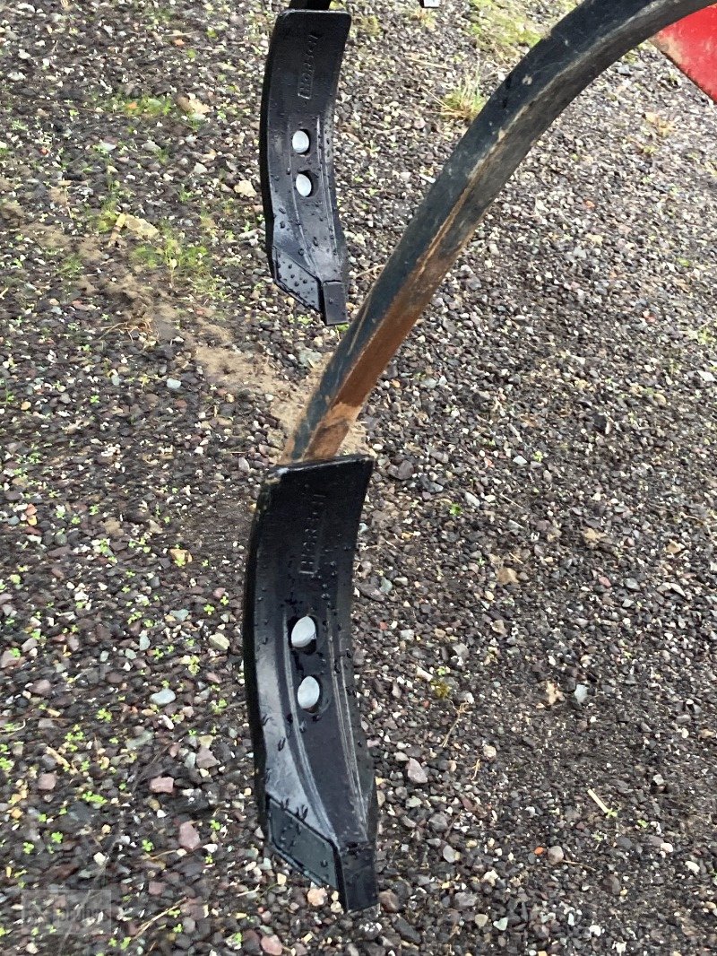 Grubber του τύπου Horsch Cruiser 6 XL, Gebrauchtmaschine σε Perleberg (Φωτογραφία 12)