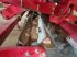 Grubber du type Horsch jocker 8 rt, Gebrauchtmaschine en MONFERRAN (Photo 7)
