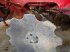 Grubber du type Horsch jocker 8 rt, Gebrauchtmaschine en MONFERRAN (Photo 8)