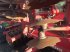Grubber des Typs Horsch JOKER 5RT CLASSIC, Gebrauchtmaschine in azerailles (Bild 7)