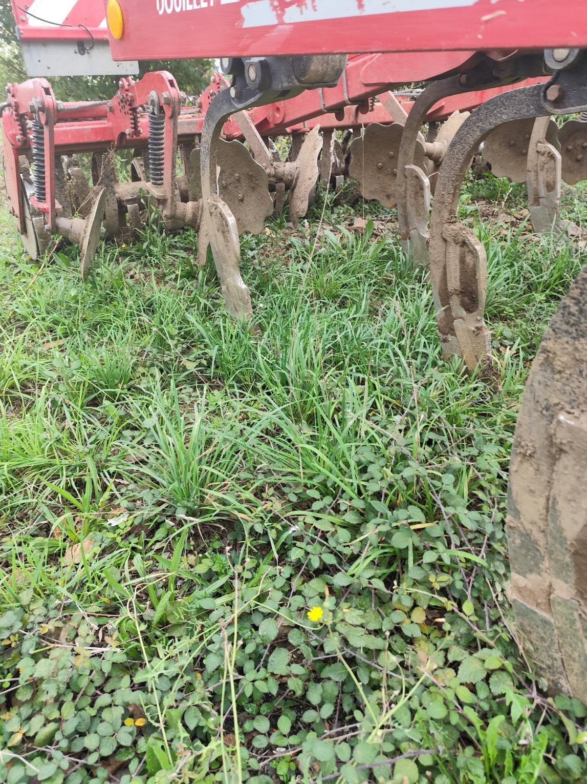 Grubber del tipo Horsch TERRANO 3.5 FX, Gebrauchtmaschine In Le Horps (Immagine 4)