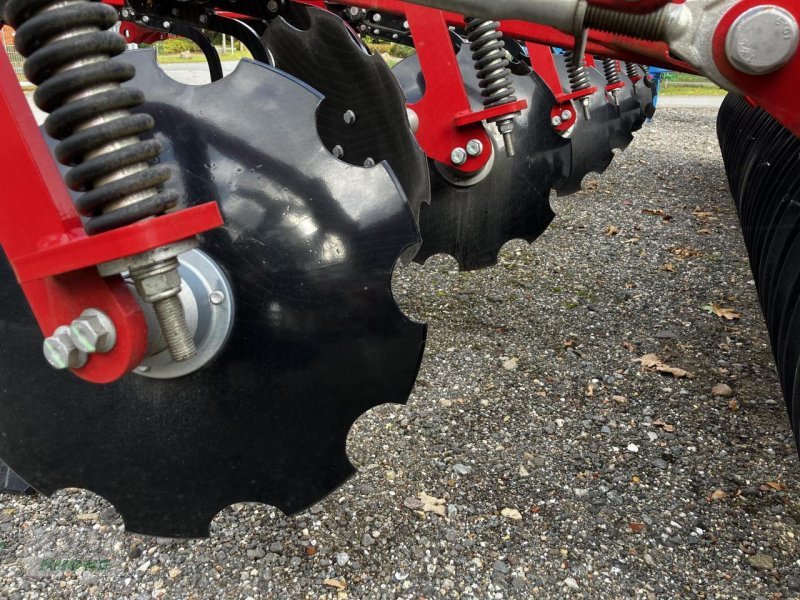 Grubber des Typs Horsch Terrano 4 FX, Gebrauchtmaschine in Spelle (Bild 5)