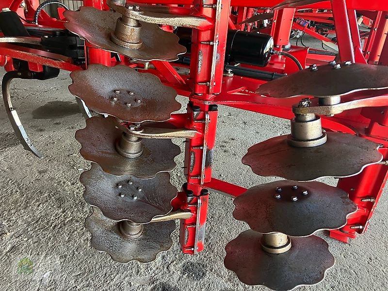 Grubber del tipo Horsch Terrano 4 MT, Gebrauchtmaschine In Salsitz (Immagine 9)
