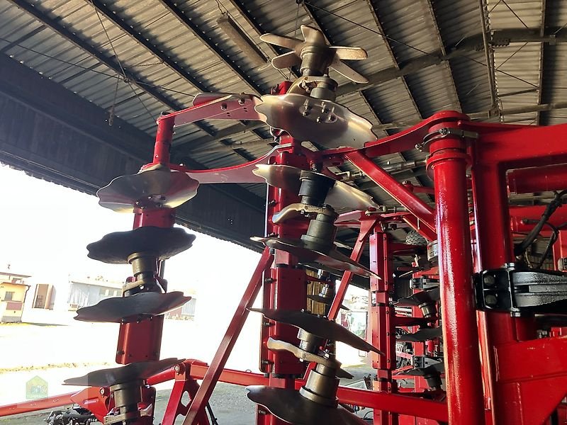 Grubber del tipo Horsch Terrano 4 MT, Gebrauchtmaschine In Salsitz (Immagine 3)