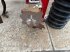 Grubber del tipo Horsch Terrano 6 FX, Gebrauchtmaschine In Prenzlau (Immagine 13)