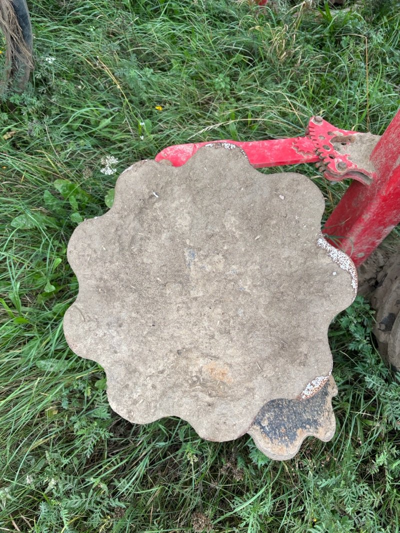 Grubber typu Horsch Terrano 8 FX, Gebrauchtmaschine v Plau am See / OT Klebe (Obrázek 2)