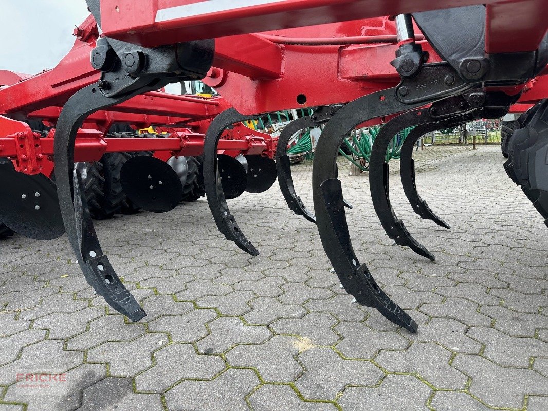 Grubber tipa Horsch Tiger 3 MT, Gebrauchtmaschine u Bockel - Gyhum (Slika 5)