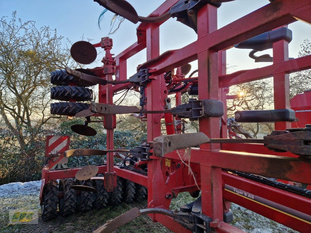 Grubber Türe ait Horsch Tiger 5 AS, Gebrauchtmaschine içinde Schenkenberg (resim 4)