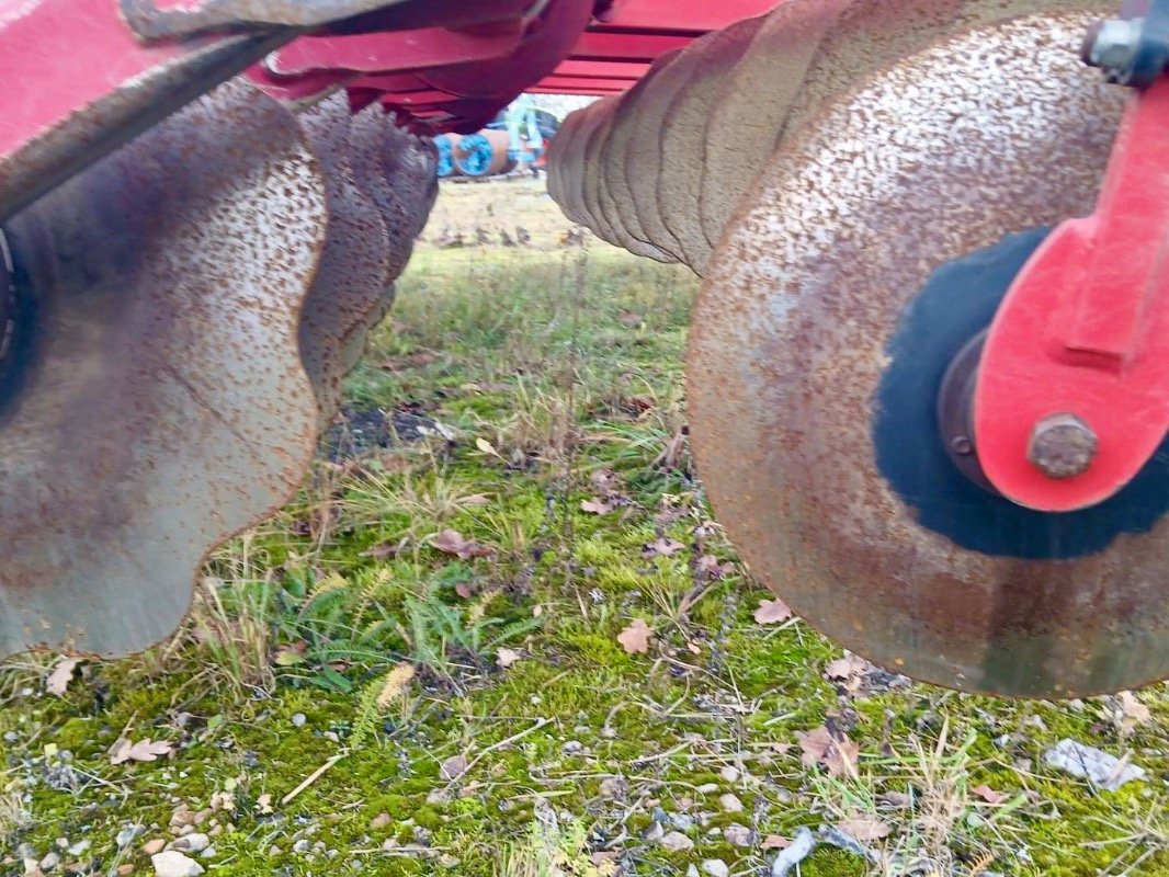 Grubber от тип Horsch Tiger 5 MT, Gebrauchtmaschine в Liebenwalde (Снимка 5)