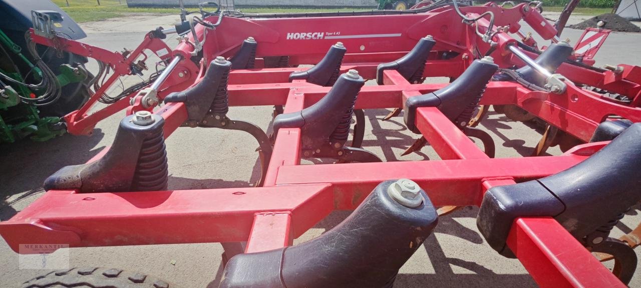 Grubber of the type Horsch Tiger 6 AS, Gebrauchtmaschine in Pragsdorf (Picture 5)