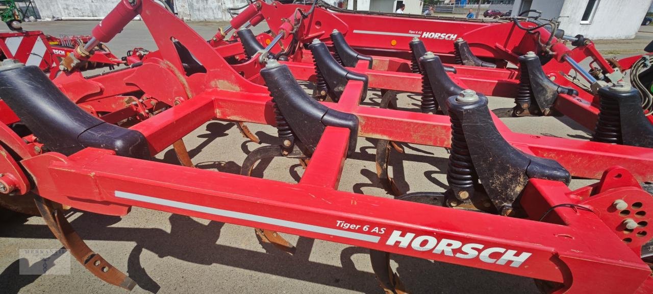 Grubber of the type Horsch Tiger 6 AS, Gebrauchtmaschine in Pragsdorf (Picture 11)